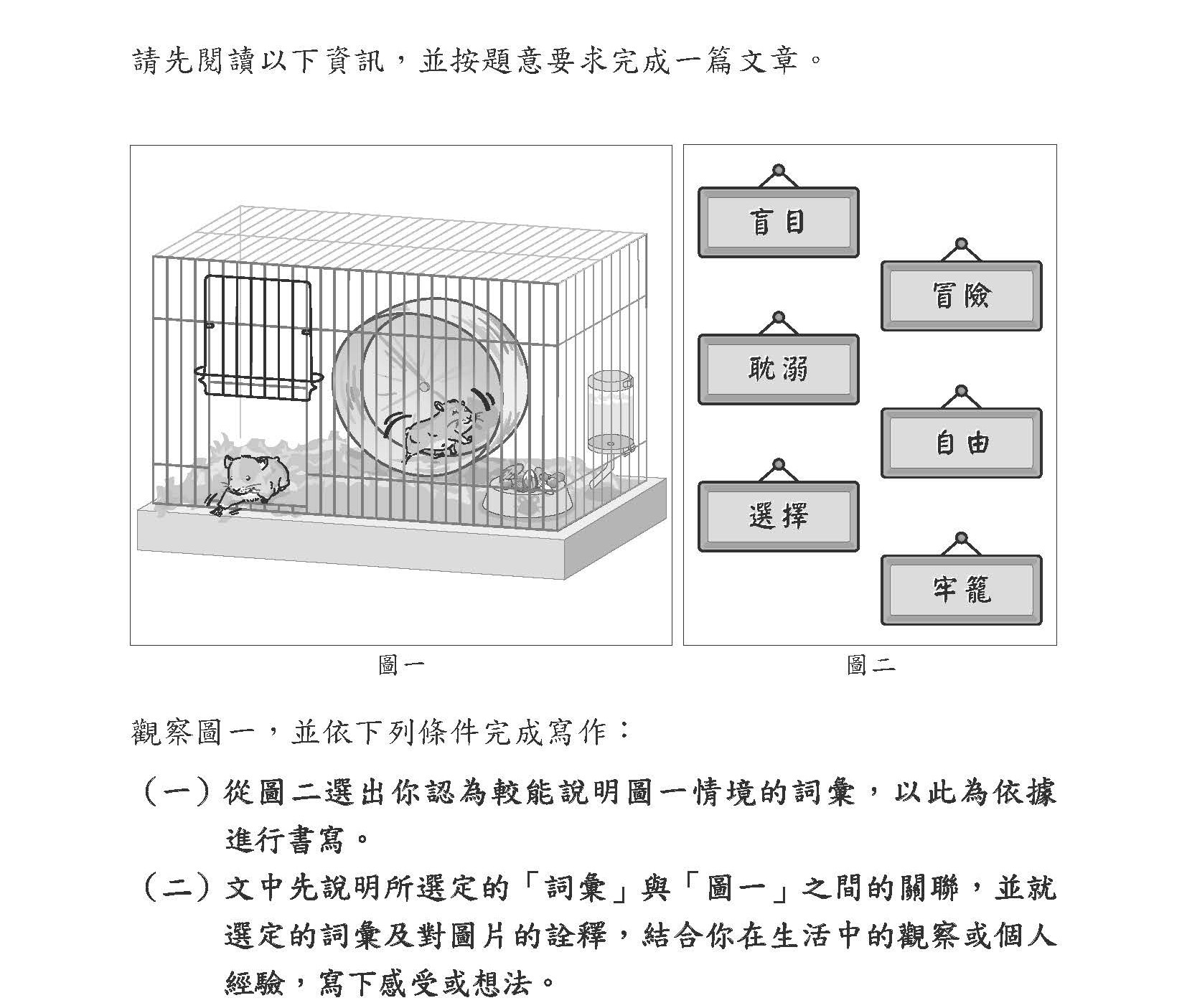 114教育會考倉鼠圖